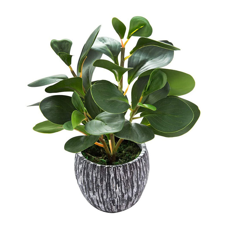 Outdoor Indoor Tree Planters