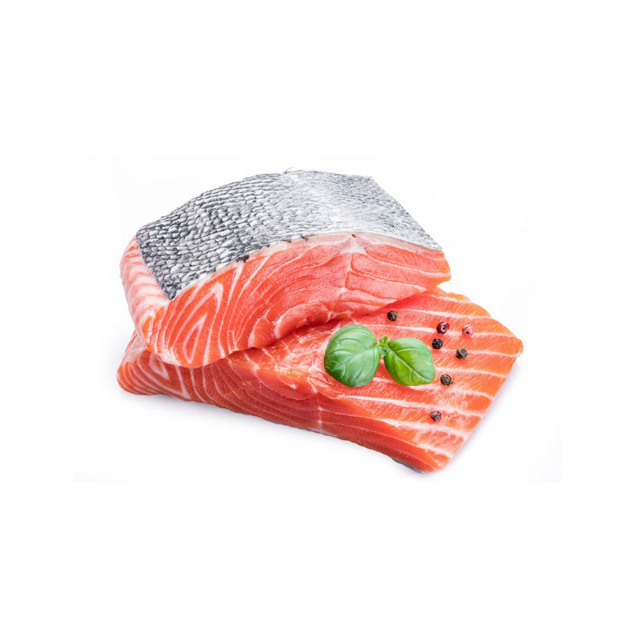 Fresh Salmon