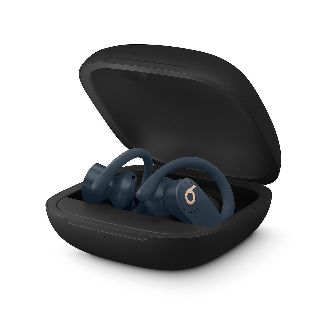 Totally Wireless Earphones